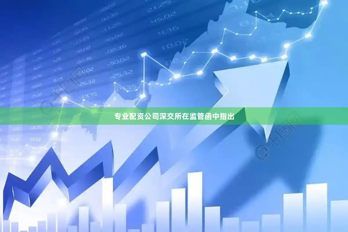专业配资公司深交所在监管函中指出