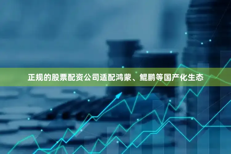 正规的股票配资公司适配鸿蒙、鲲鹏等国产化生态