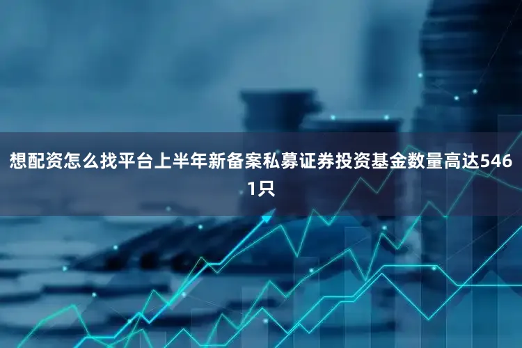 想配资怎么找平台上半年新备案私募证券投资基金数量高达5461只