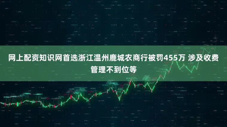 网上配资知识网首选浙江温州鹿城农商行被罚455万 涉及收费管理不到位等