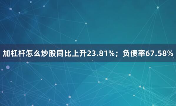 加杠杆怎么炒股同比上升23.81%；负债率67.58%