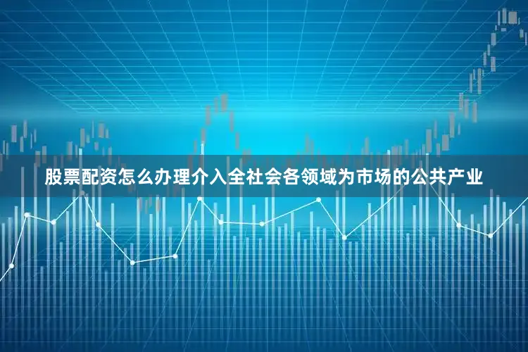股票配资怎么办理介入全社会各领域为市场的公共产业