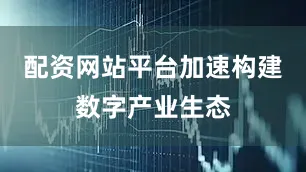 配资网站平台加速构建数字产业生态